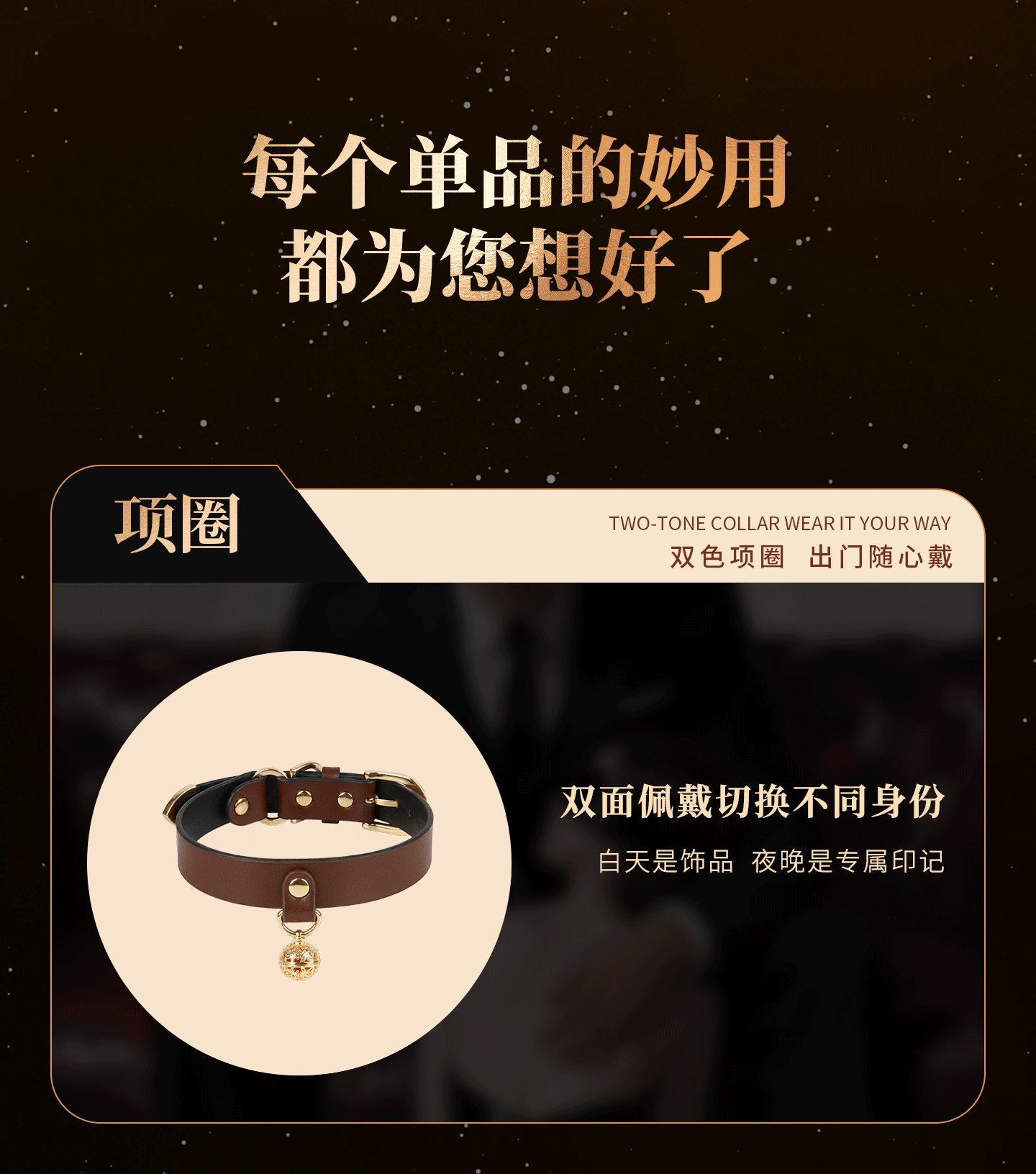 动图B_01