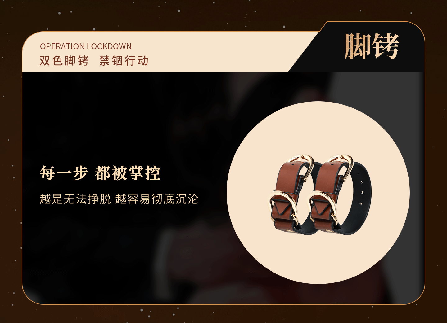 动图B_04