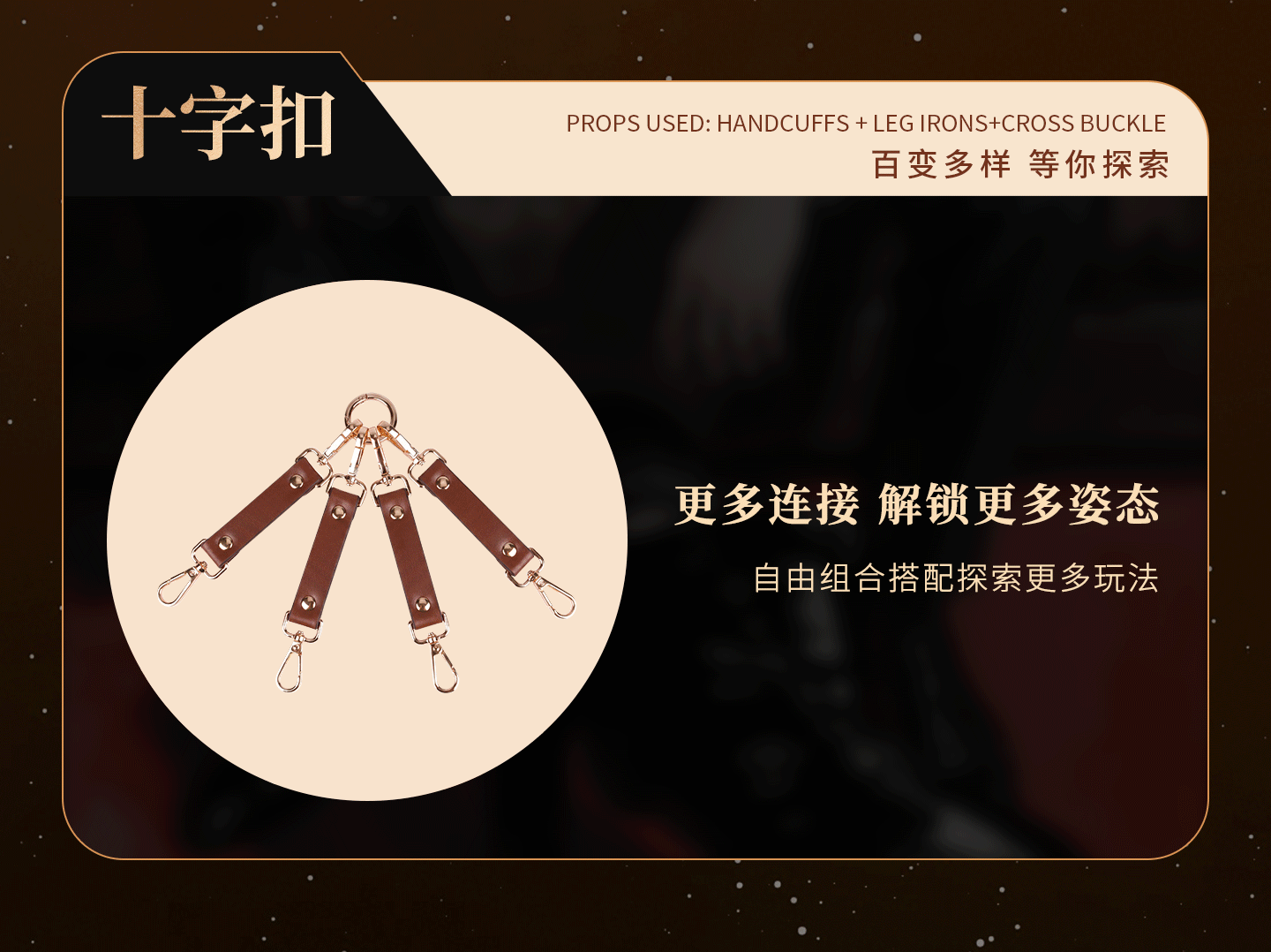 动图B_05