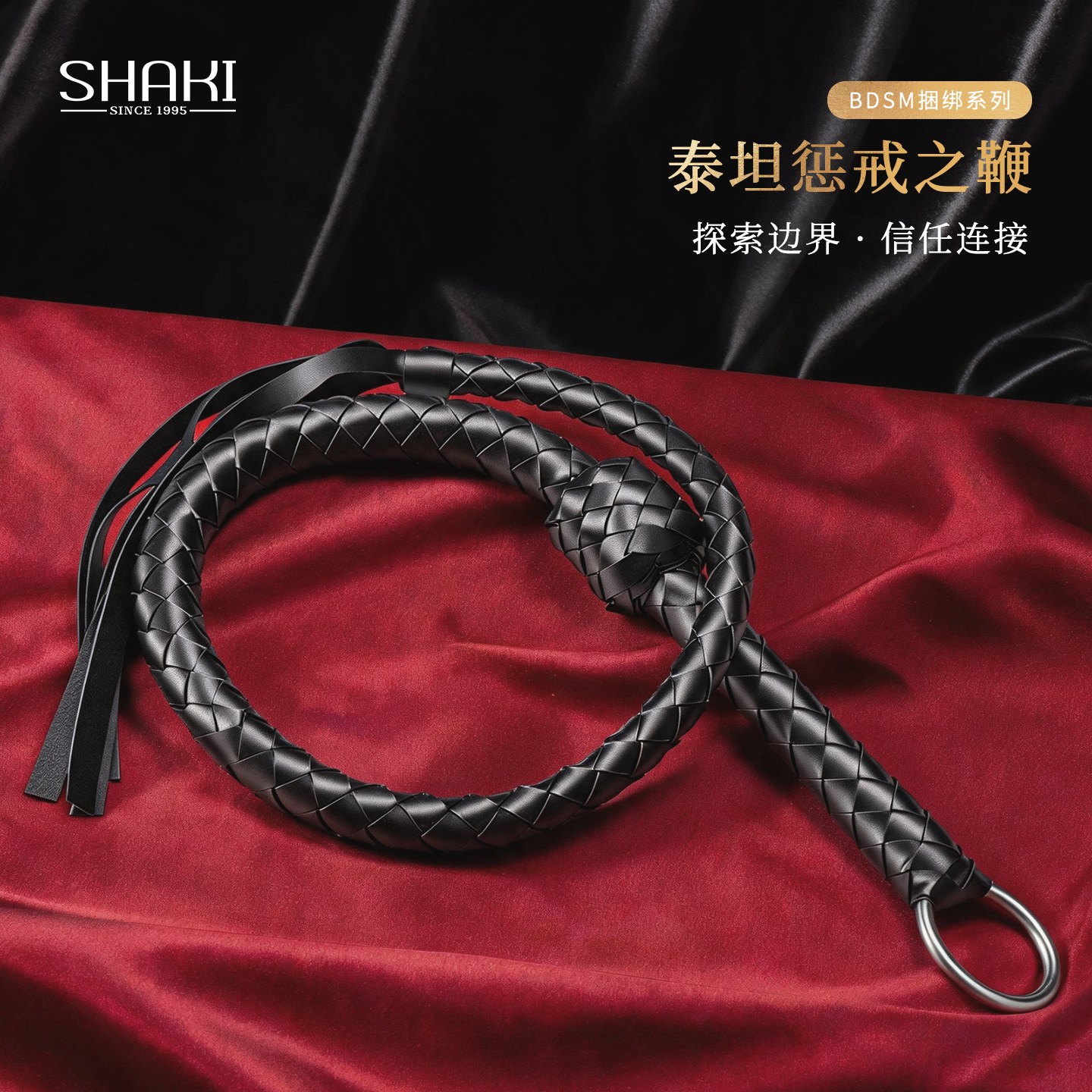 惩戒之鞭